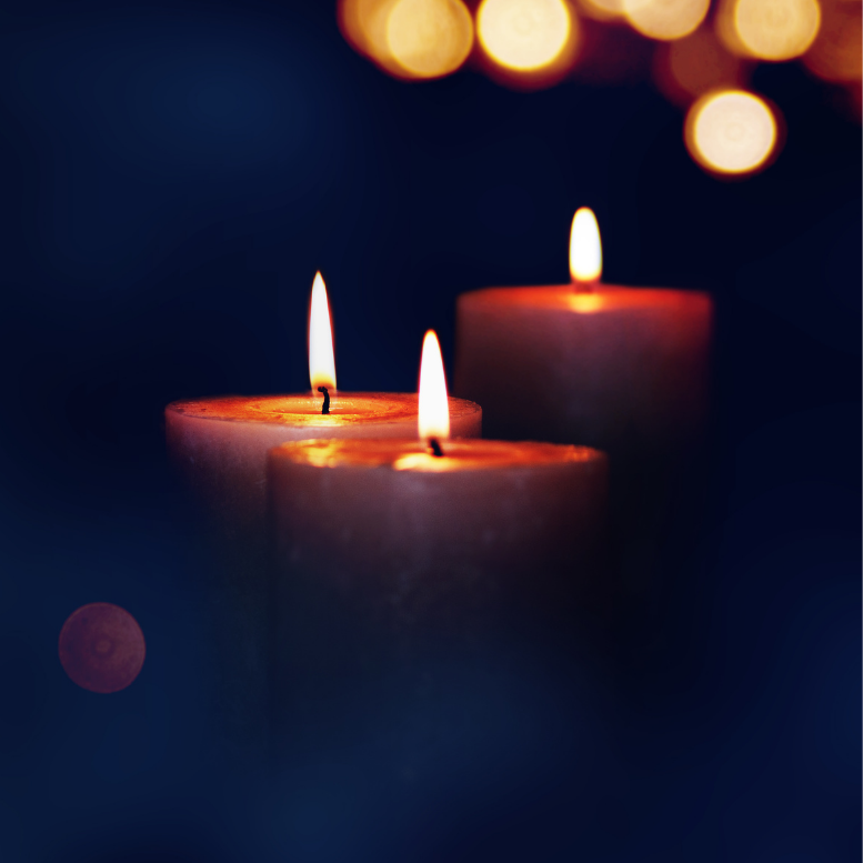 Bach Flower Remedies for Grief and Loss How They Can Help Mindful