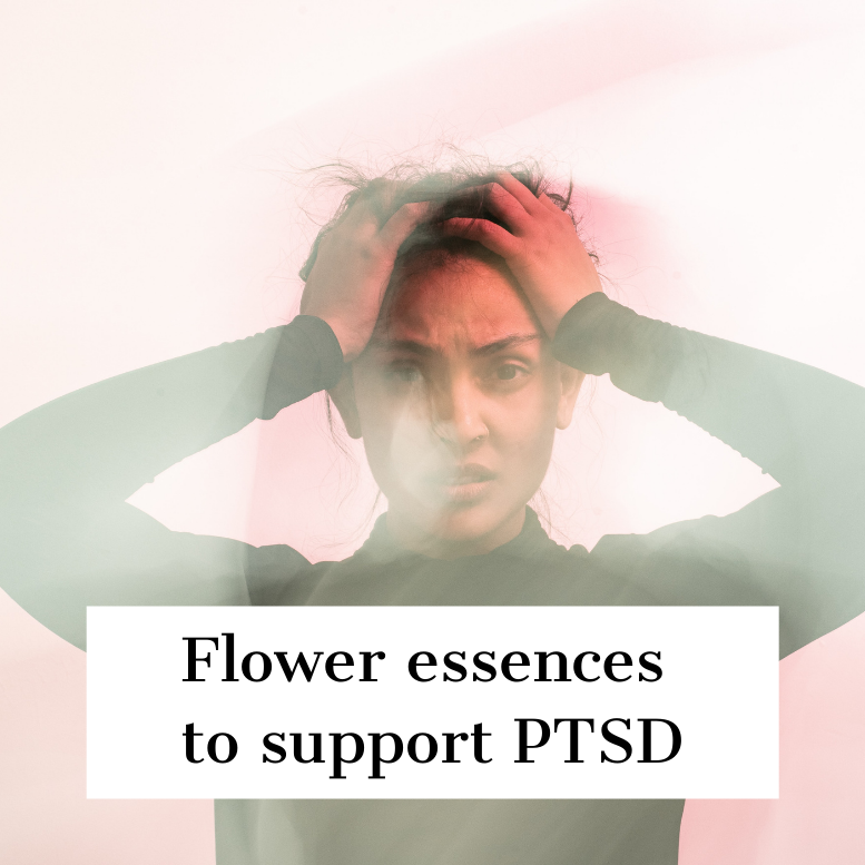 Flower essences to support PTSD Mindful Remedies