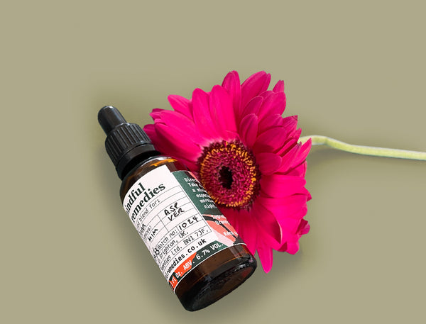 Bach Flower Remedy for Low Mood