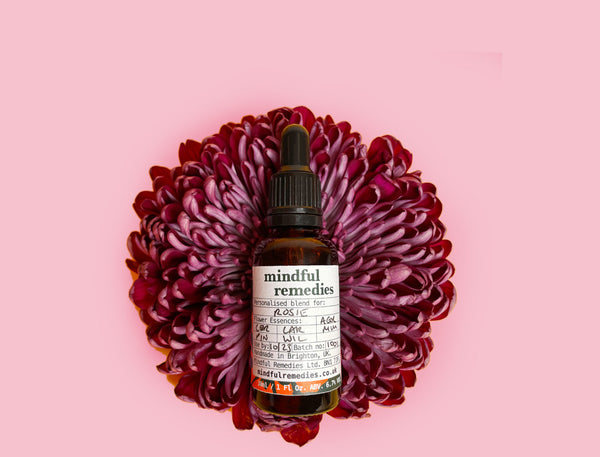 Bach Flower Remedy For Motivation