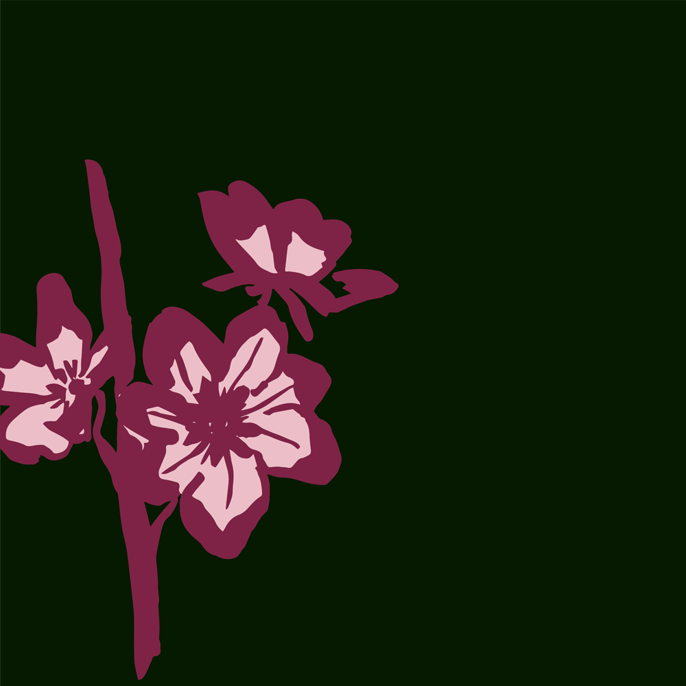 Cherry Plum