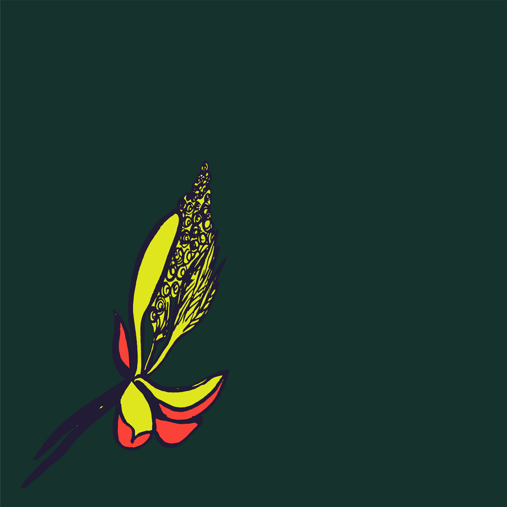 Chestnut Bud