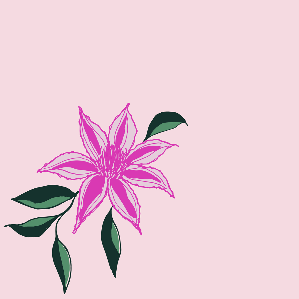 Clematis