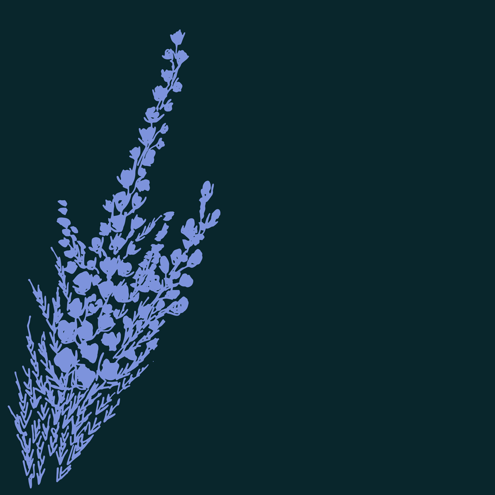 Heather