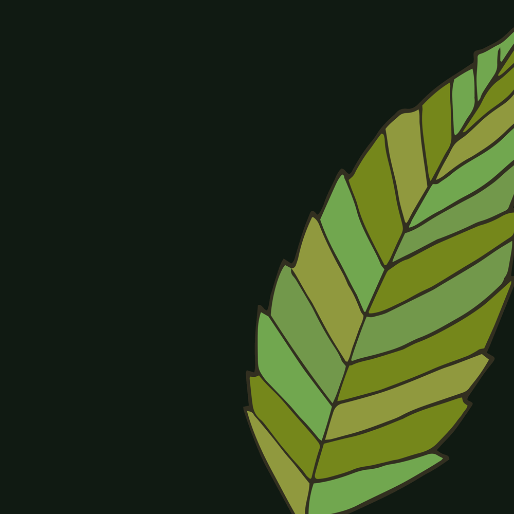 Hornbeam