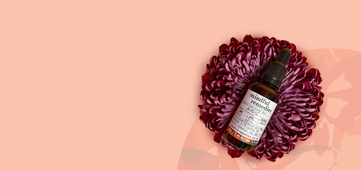 Bach Flower Remedy For Stress | Mindful Remedies – Mindful Remedies