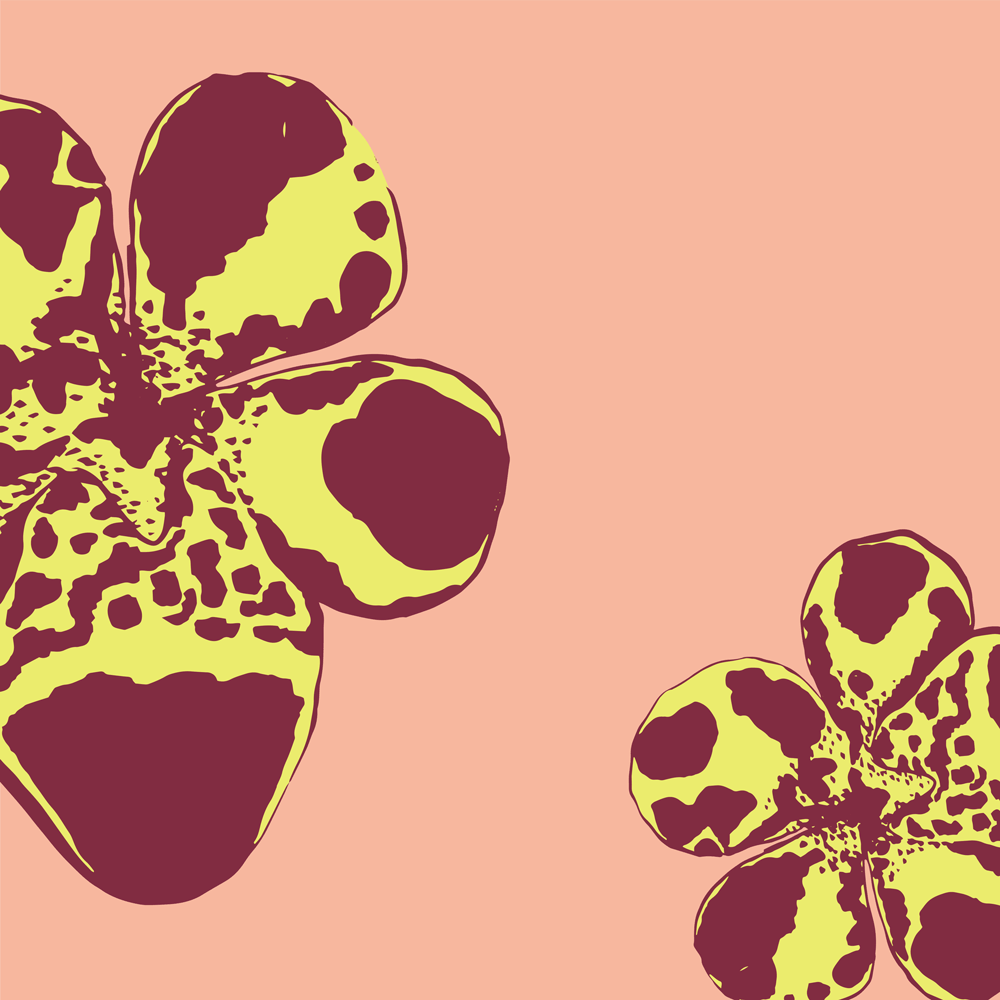 Mimulus