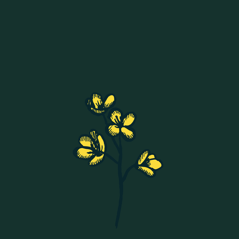 Mustard