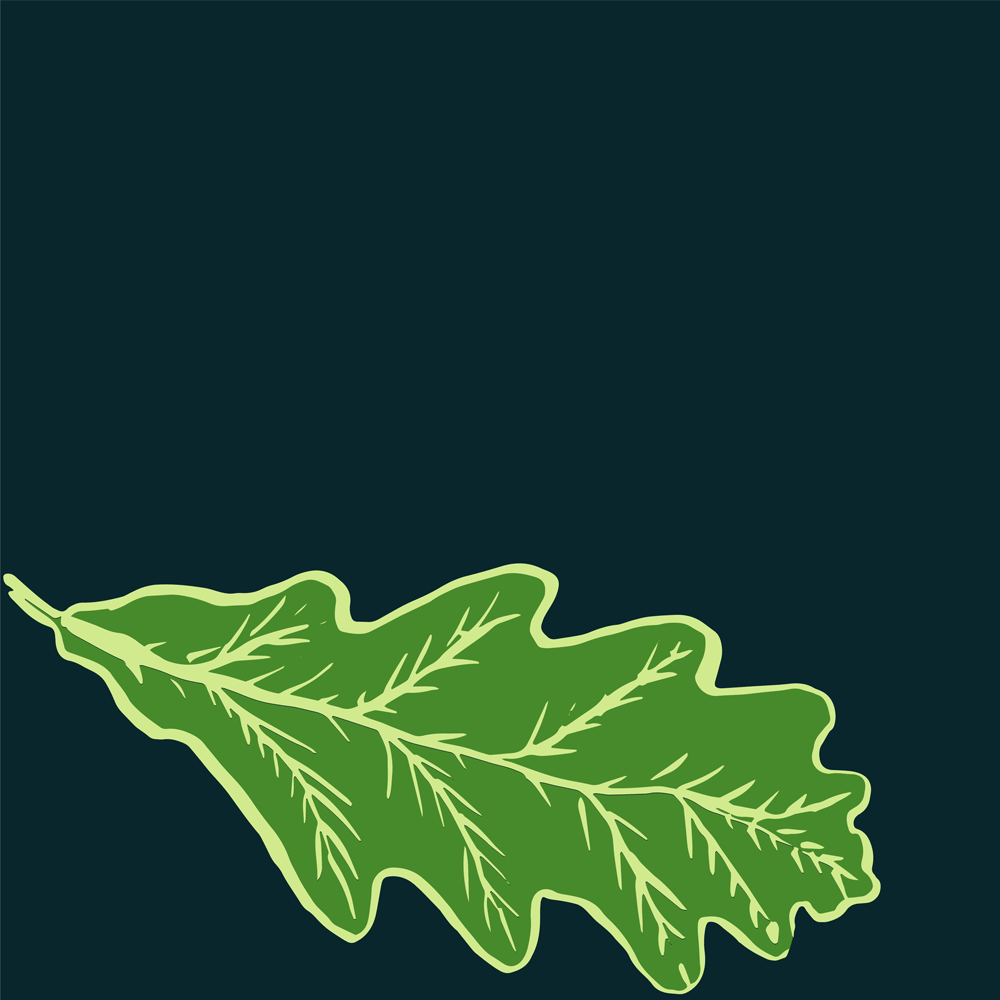 Oak