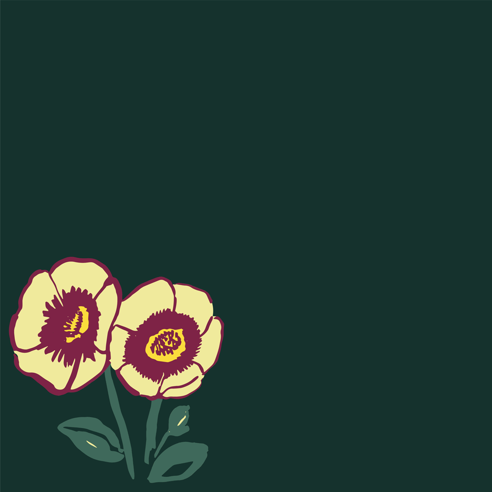 Rock Rose