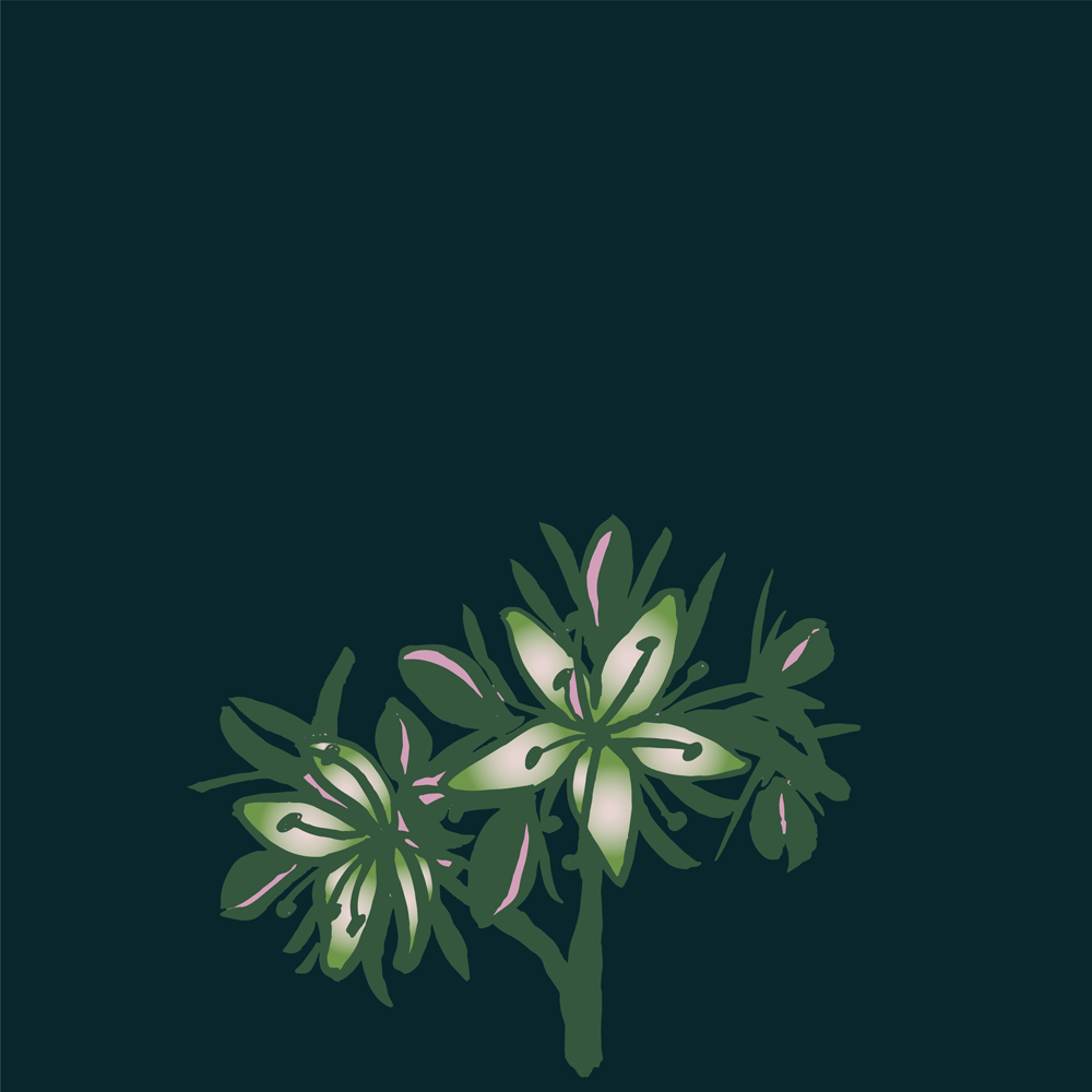 Scleranthus