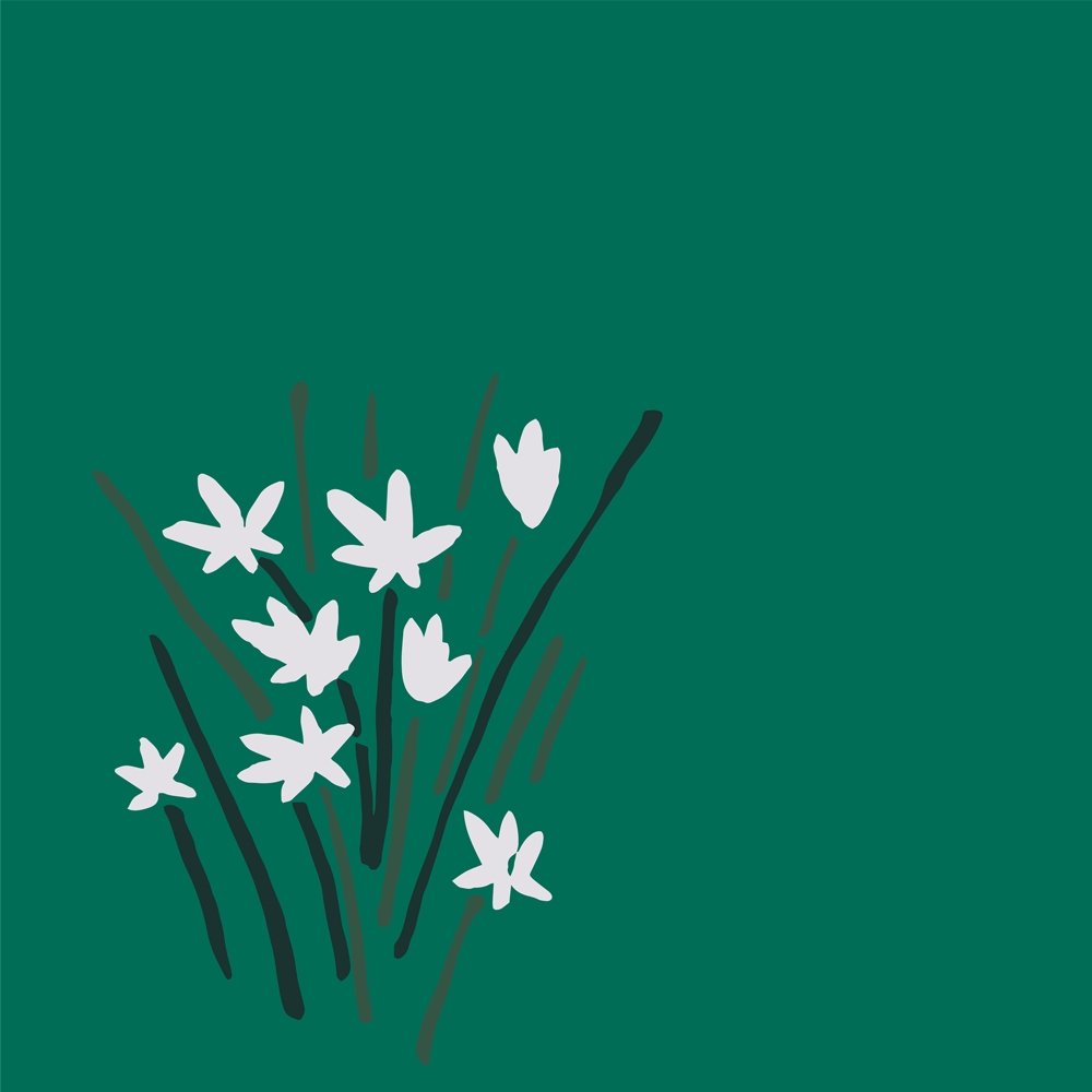 Star of Bethlehem