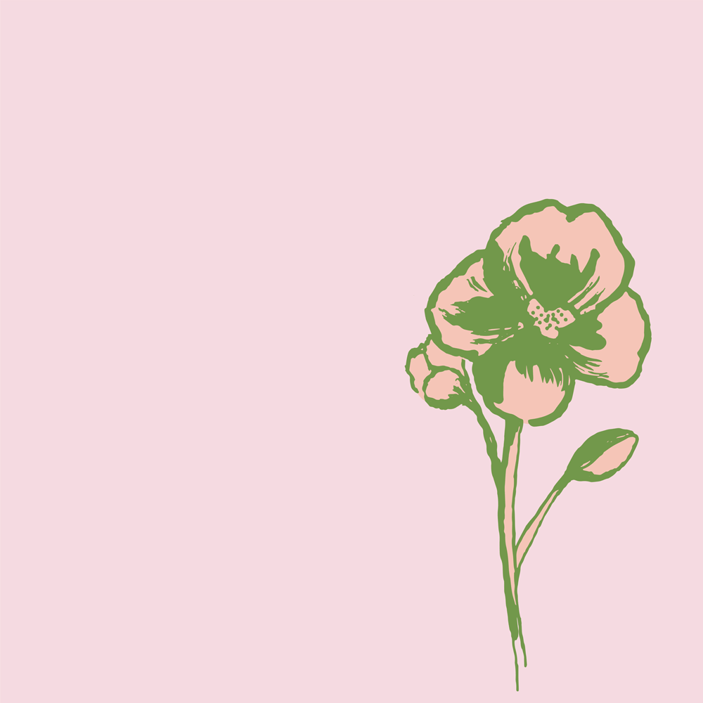Wild Rose
