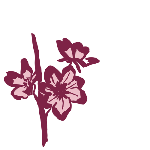 Cherry Plum