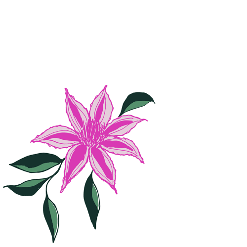 Clematis