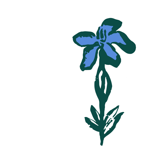 Gentian