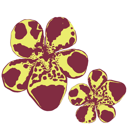 Mimulus