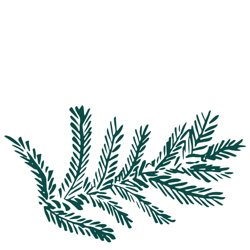 Pine