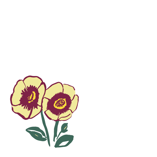 Rock Rose