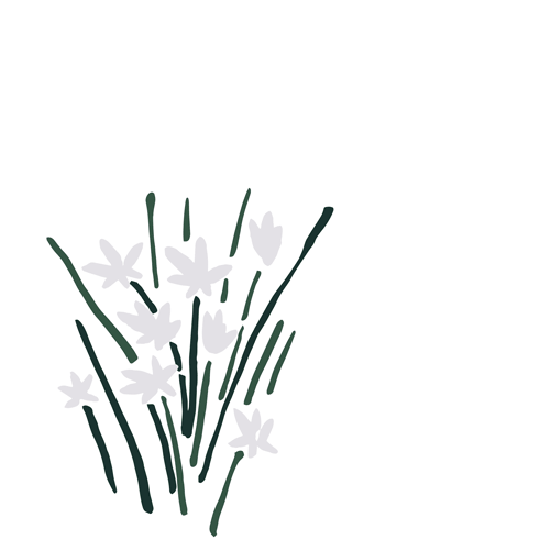 Star of Bethlehem