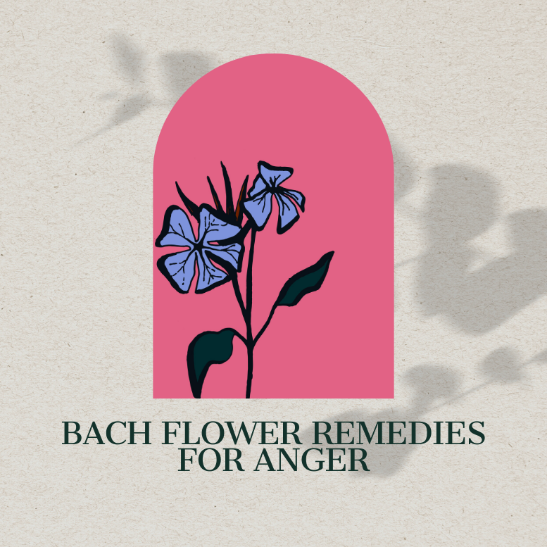 Bach Flower Remedies for Anger