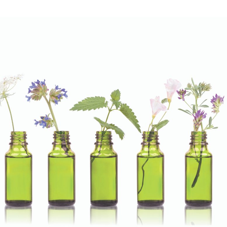 Managing Tourette’s Syndrome with Bach Flower Remedies