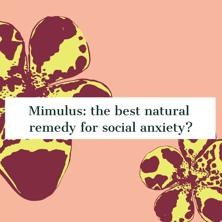 Mimulus: the best natural remedy for social anxiety?