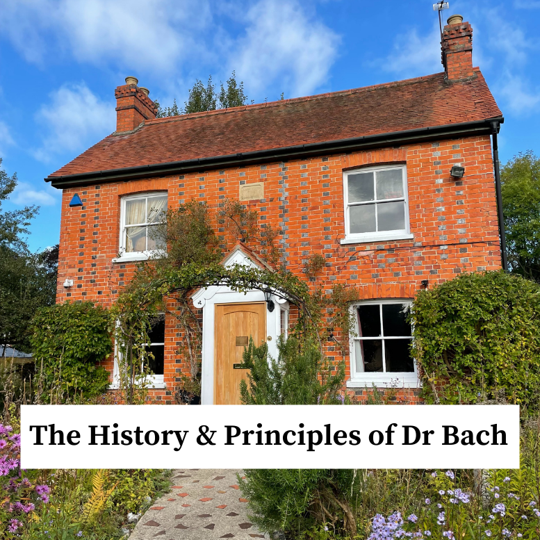 The History & Principles of Dr Bach