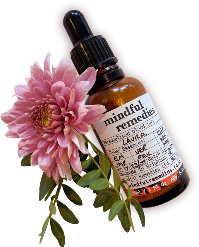 Bach Flower Remedies Diagnostic Chart Mindful Remedies