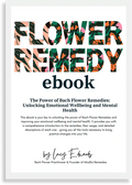 Flower Remedy ebook