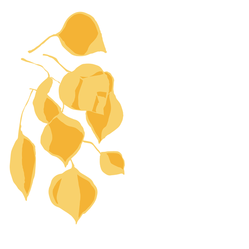 Aspen