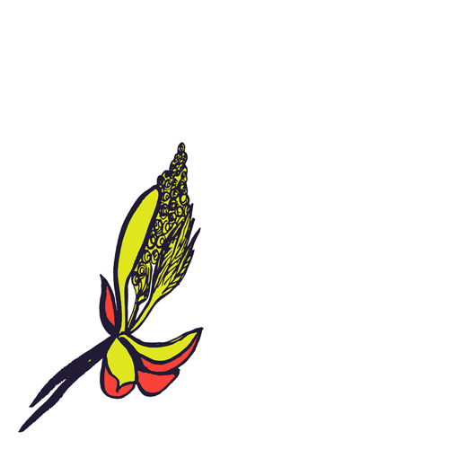 Chestnut Bud