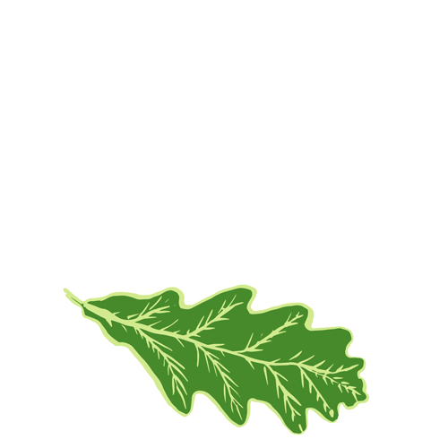 Oak
